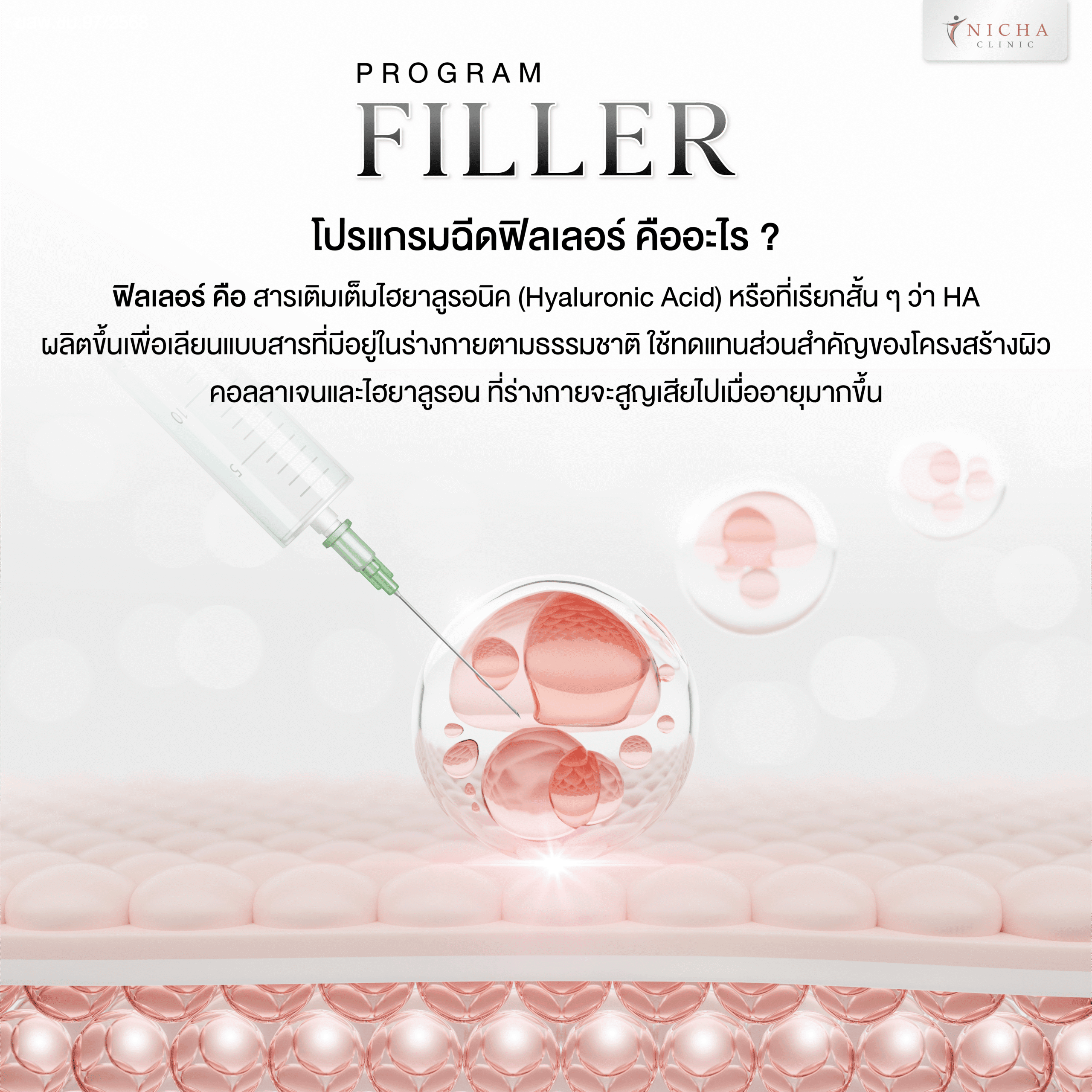 ฟิลเลอร์ เชียงใหม่